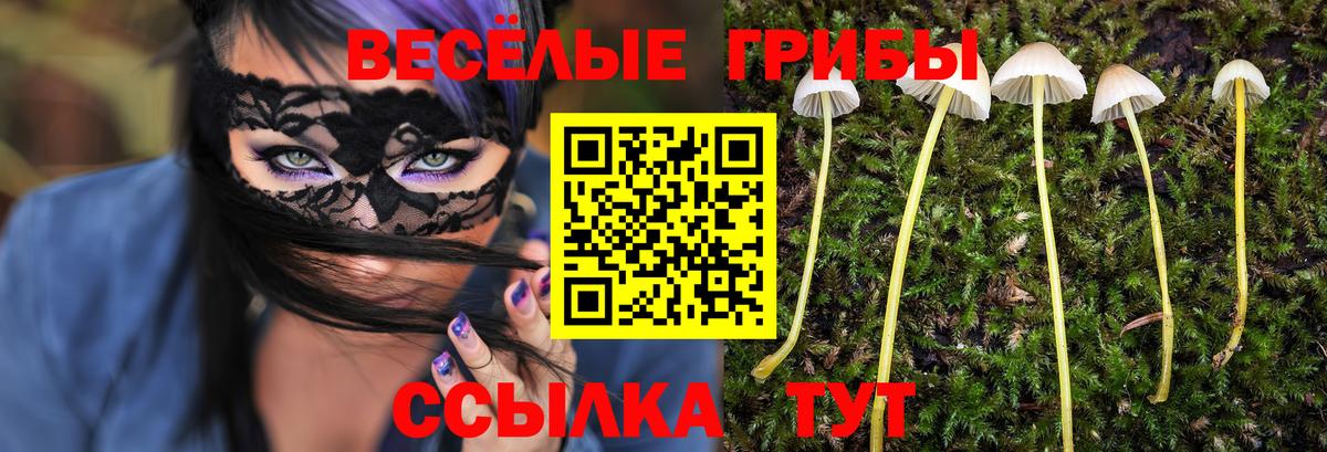 Галлюциногенные грибы прущие грибы Верхняя Салда