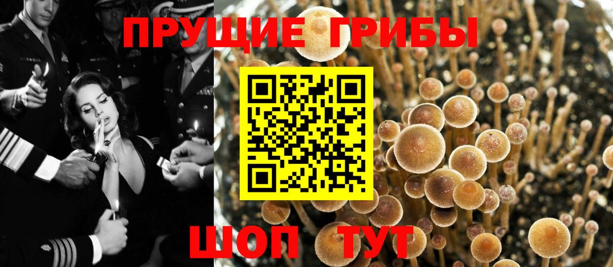 Псилоцибиновые грибы GOLDEN TEACHER  Вход с VPN  Верхняя Салда 